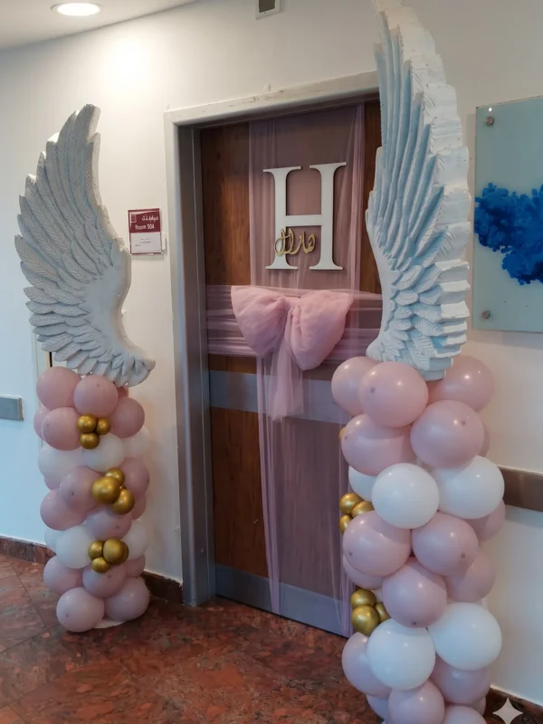 Gemini_Generated_Image_cn49k9cn49k9cn49 Balloon Wings Rental