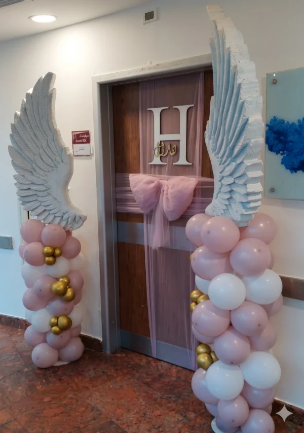 Balloon Wings Rental
